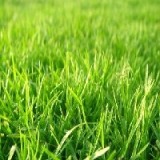 合肥人造草坪【品牌直销】合肥人造草坪什么样的好