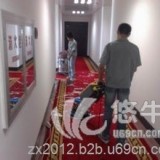 广州市地毯清洁消毒的公司