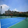泰安塑胶网球场施工|泰安塑胶网球场施工【首选联奥】