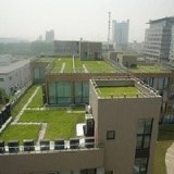 高品质屋顶地面用改性沥青防水卷材