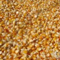 玉米小麦大豆高粱粕类