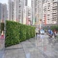 安徽广场植物墙|安徽广场植物墙绿化公司|安徽广场植物墙哪家好