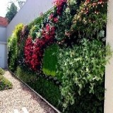 合肥别墅植物墙|合肥别墅植物墙哪家好|合肥哪里有做别墅植物墙