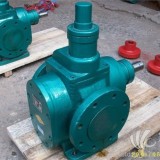 圆弧泵-圆弧齿轮泵