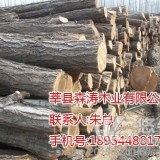 莘县森涛木业有限公司