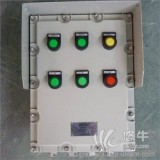 防爆照明配电箱丨防爆配电控制柜