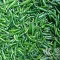 全国最大辣椒种植基地 广东尖椒线