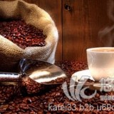 墨西哥咖啡豆进口报关公司