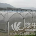 連棟薄膜溫室大棚