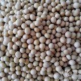 高蛋白质含量一级非转大豆