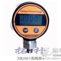 TOK108  电池供电压力表