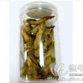 金花葵
