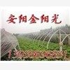 全自動(dòng)蔬菜大棚支架