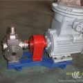 YCB-6/0.6不锈钢圆弧泵化肥厂专用泵高温齿轮泵