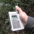 叶绿素测定仪分析植物叶绿素含量变