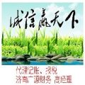 专业财务公司