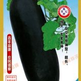 广东杂交黑皮冬瓜种子F-668