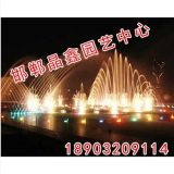 喷泉设计,喷泉设计公司,邯郸晶鑫