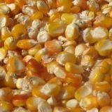 玉米小麦大豆高粱