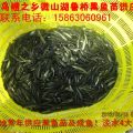 黑魚苗養(yǎng)殖，烏魚苗供應(yīng)，優(yōu)質(zhì)魚苗