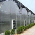 最强的温室大棚就选择奥博富尔农业科技