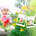 提供上海闵行儿童摄影照相馆