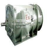 YKK4501-2-GJ 高压电动机