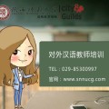 2014年对外汉语教师资格培训