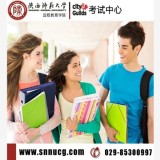 陕西对外汉语教师资格