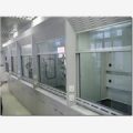 广州供应实验室专用全钢通风柜 全