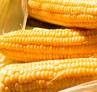 武汉龙科信有限公司常年求购玉米碎