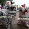 龙灯羊毛狮传统民间文化演艺吉祥物
