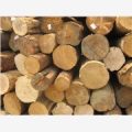 国行木业木材加工，加工优质木材，