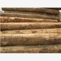 国行木业原木加工，供应优质原木，