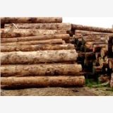 国行木业樟子松，樟子松板材，供应