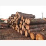 美国铁杉，供应铁杉板材，铁杉方木