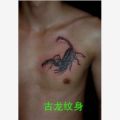 深圳纹身|古龙纹身|罗湖纹身|东