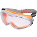 防护眼镜Bionix E303